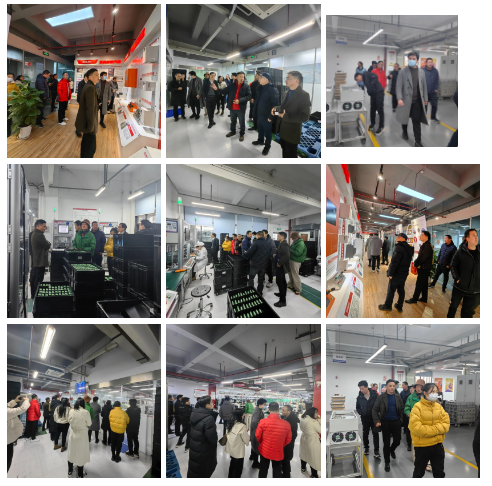 1736390385479010.png 1736390371657.png